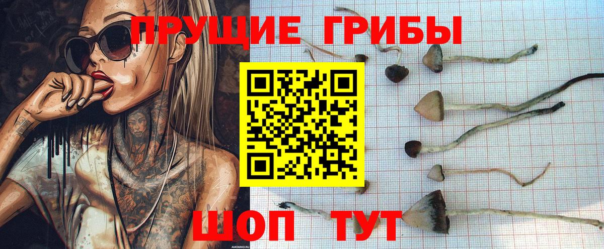 Кушва  Псилоцибиновые грибы мухоморы  дарнет шоп  Вход с VPN 